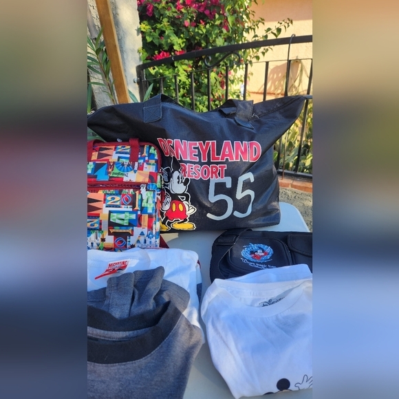 The PERFECT BUNDLE‎ FOR YOUR DISNEYLAND BUNDLE FOR YOUR VOCATION - Picture 8 of 15